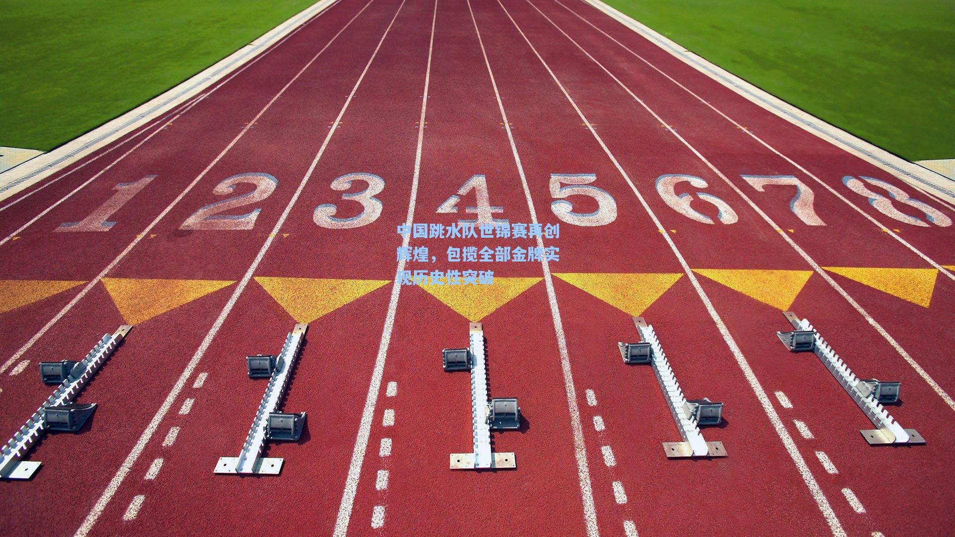 中国跳水队世锦赛再创辉煌，包揽全部金牌实现历史性突破